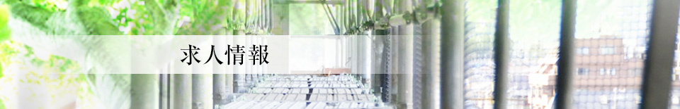 求人情報