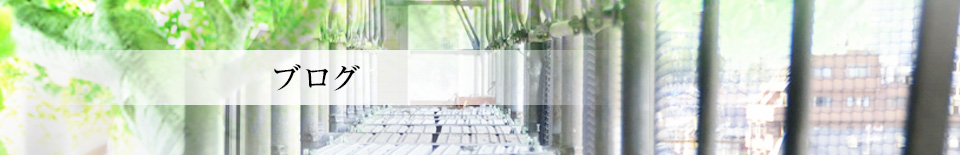 ブログ